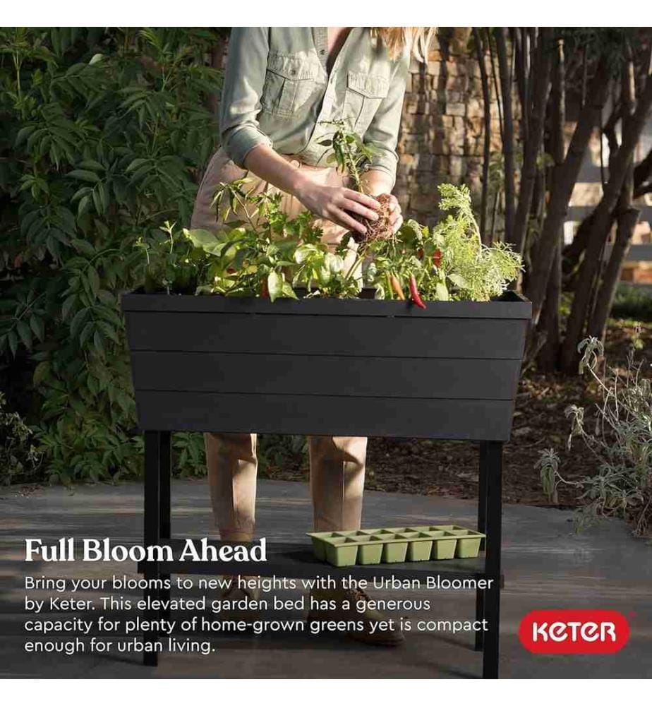 Keter Keter Watering Planter Box and Drainage Pl… | DeinDeal