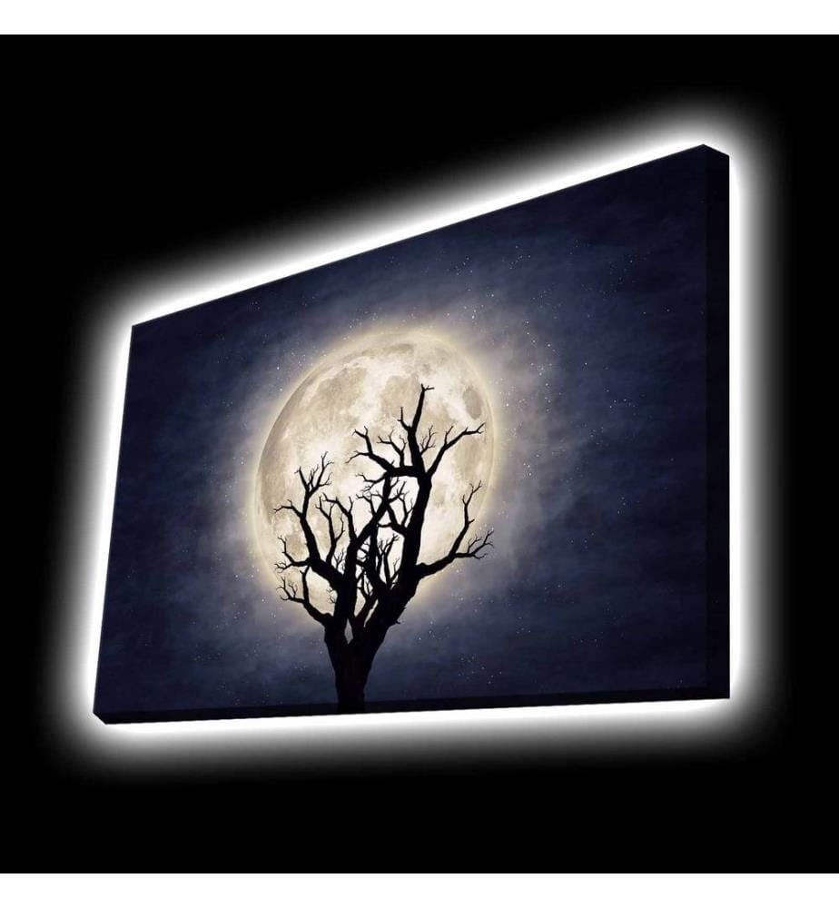 Peinture sur toile décorative éclairée par LED, multicolore, toile polyester