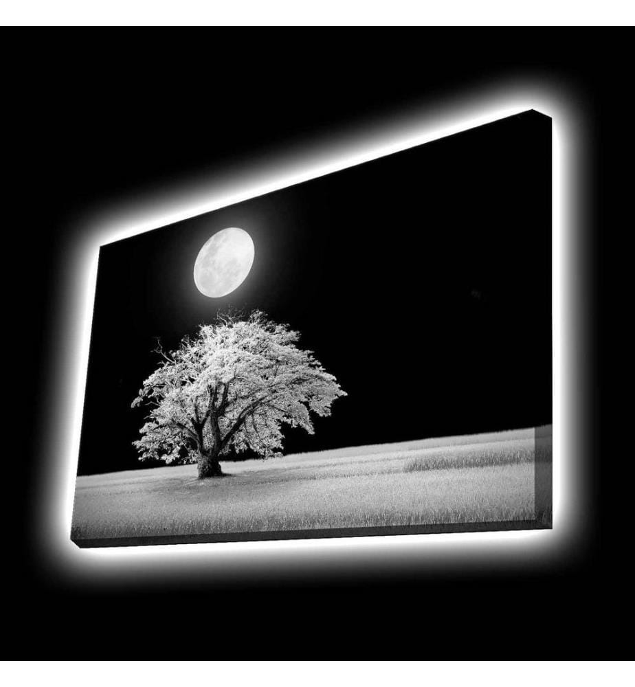 Peinture sur toile décorative éclairée par LED, multicolore, toile polyester