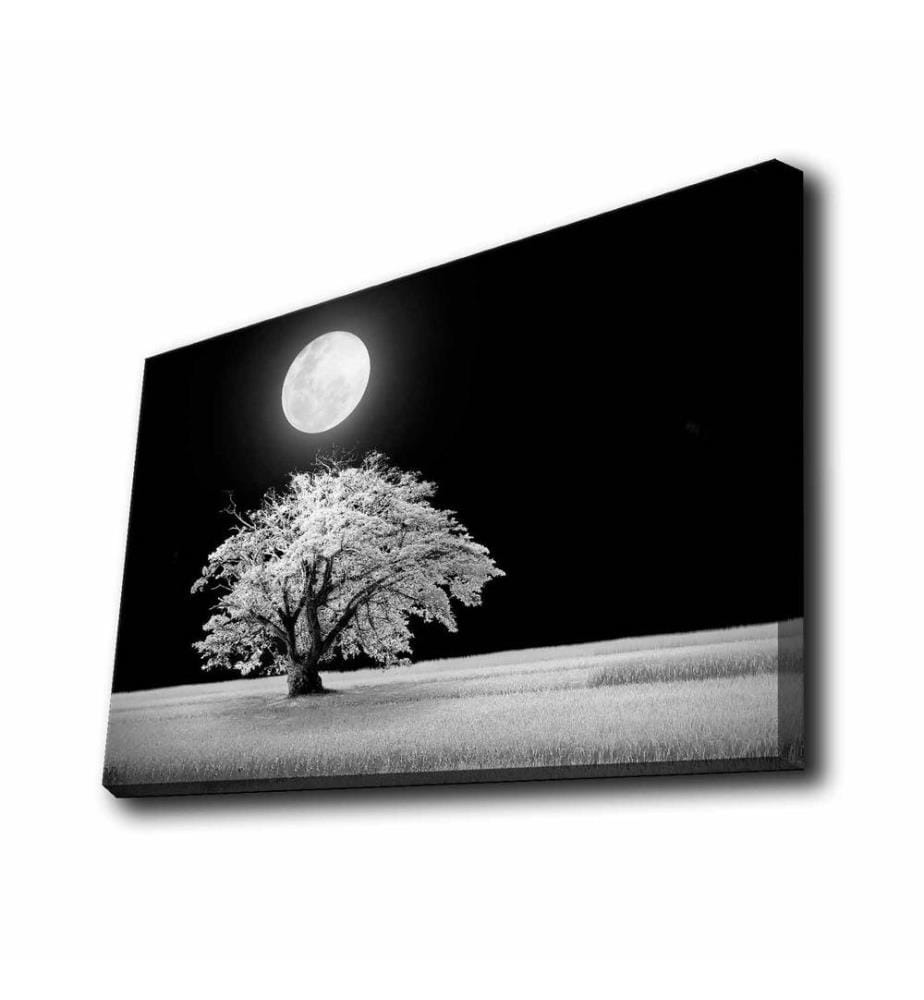 Peinture sur toile décorative éclairée par LED, multicolore, toile polyester