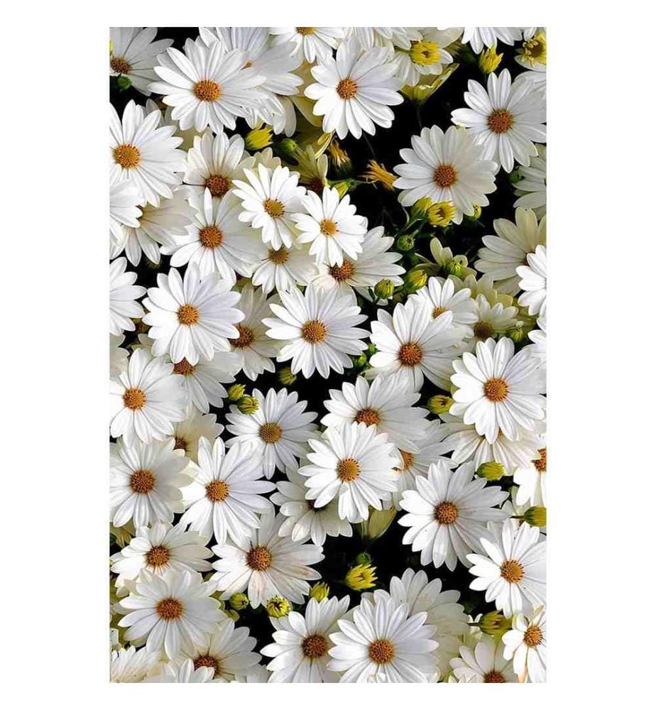 Hall Carpet, 100 x 150, , Multicolor, Polyester, 850 gr-m²