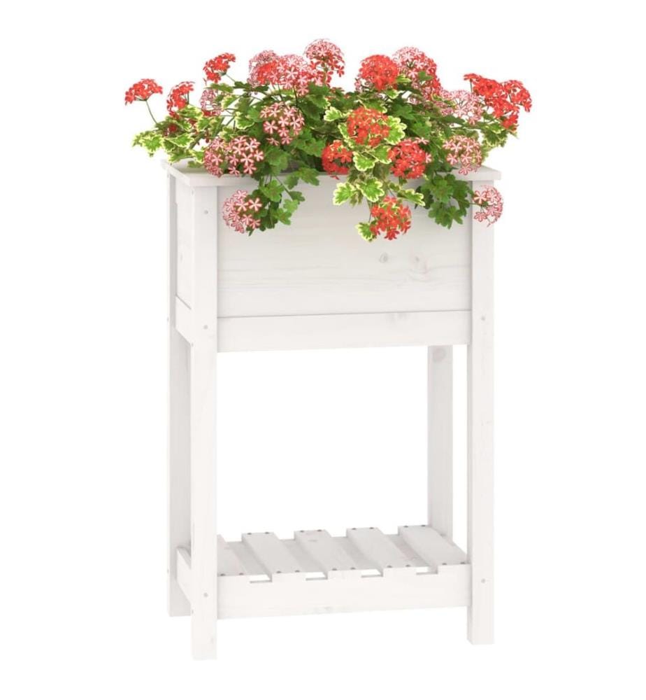 Jardinière avec étagère Blanc 54x34,5x81 cm Bois massif de pin