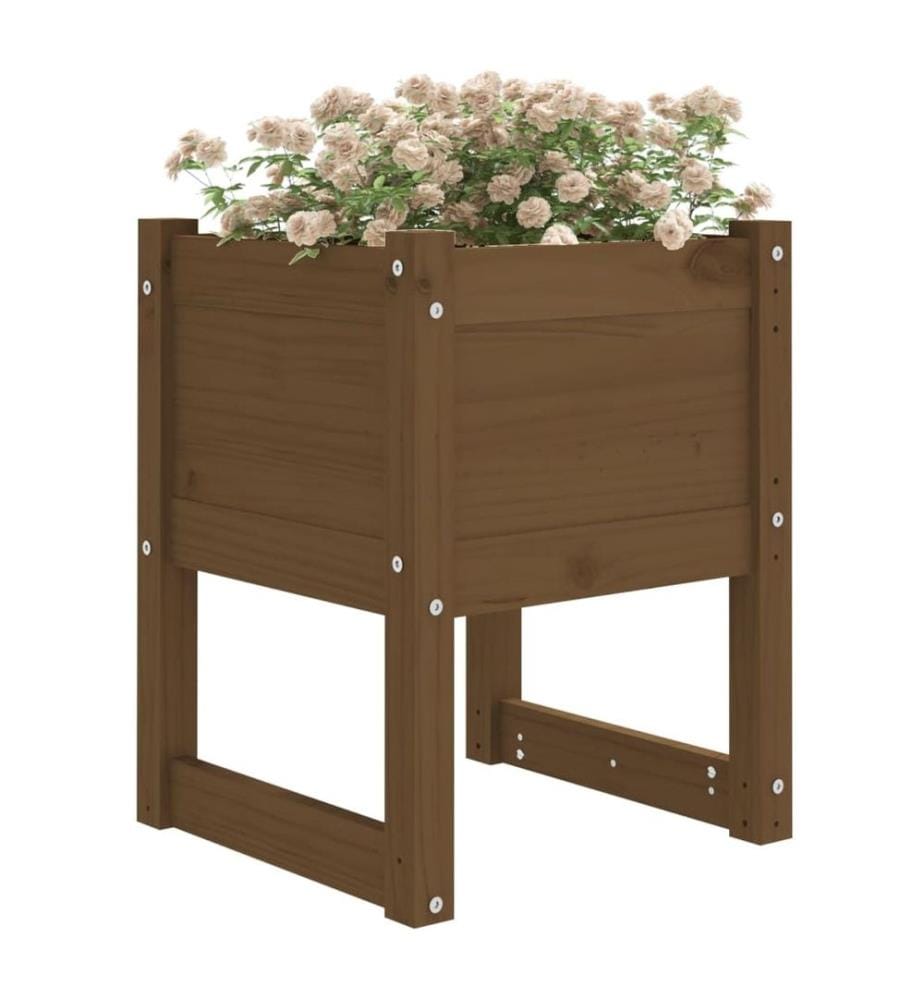 Jardinières 2 pcs Marron miel 40x40x52,5 cm Bois massif de pin