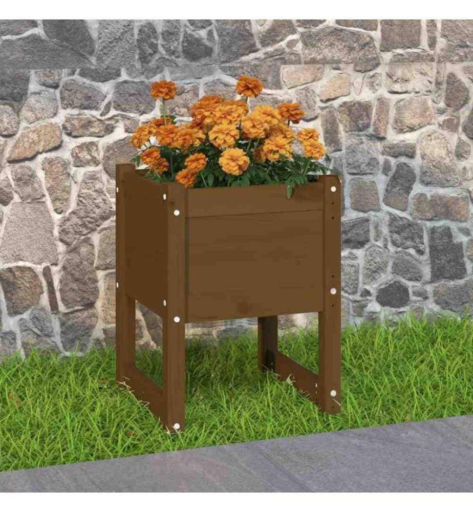 Jardinière Marron miel 40x40x52,5 cm Bois massif de pin