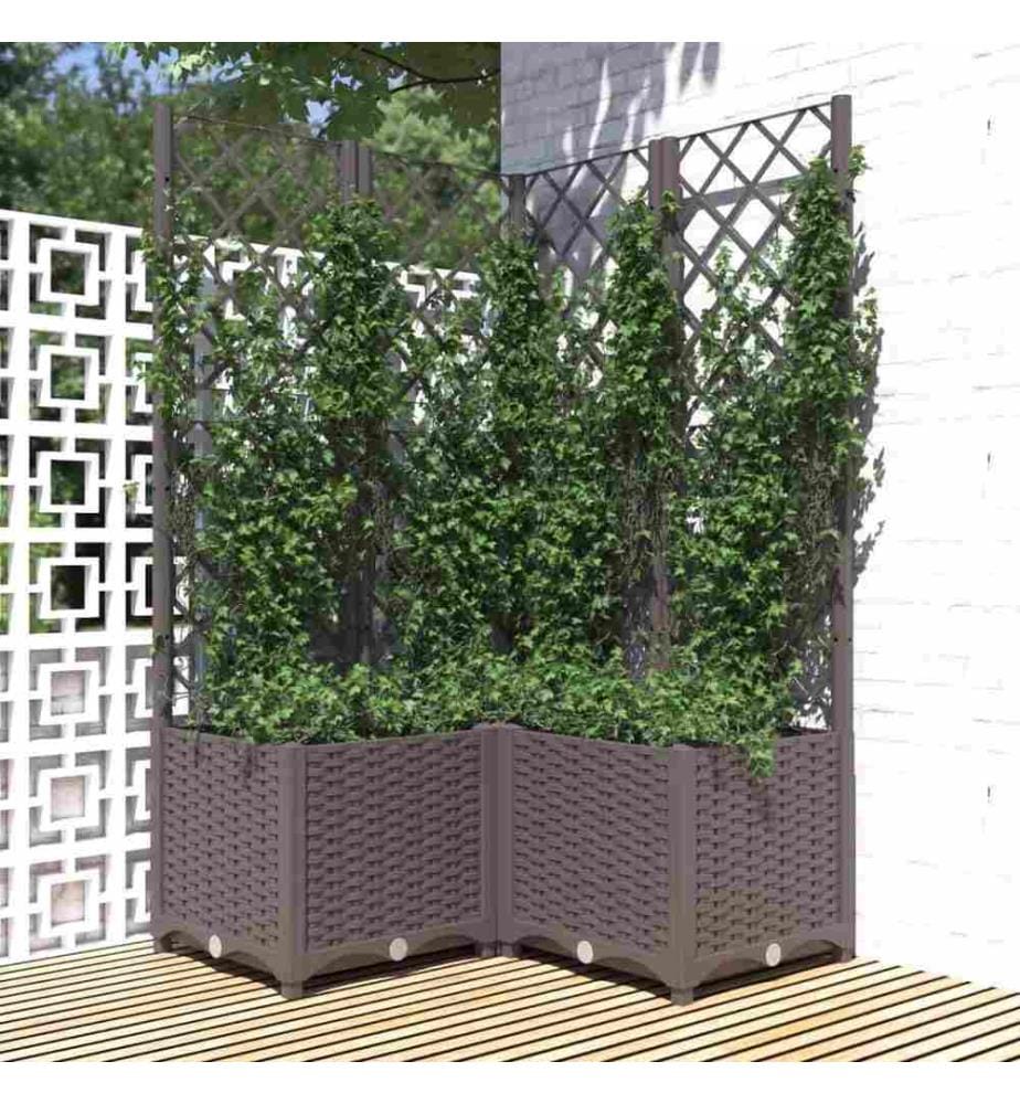 Jardinière avec treillis Marron 80x80x136 cm PP