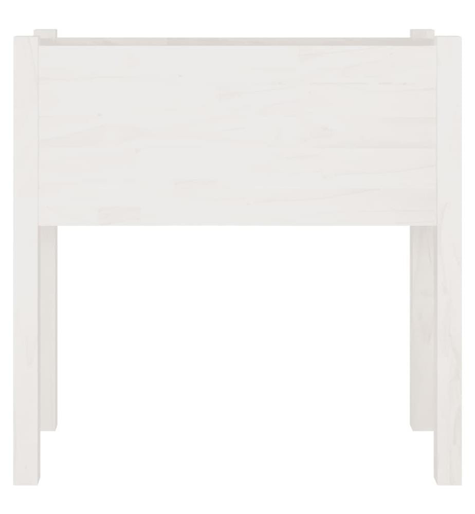 Jardinières 2 pcs Blanc 70x31x70 cm Bois de pin massif