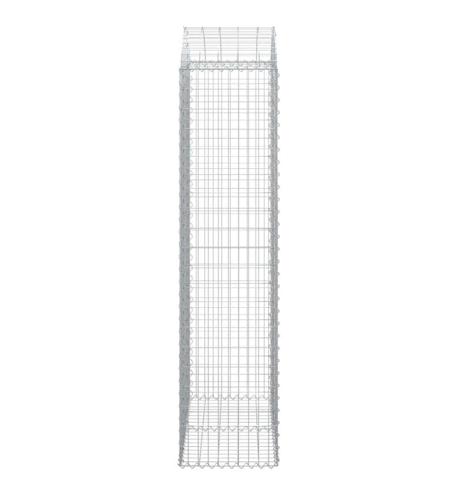 Panier de gabions arqué 100x50x200/220 cm Fer galvanisé