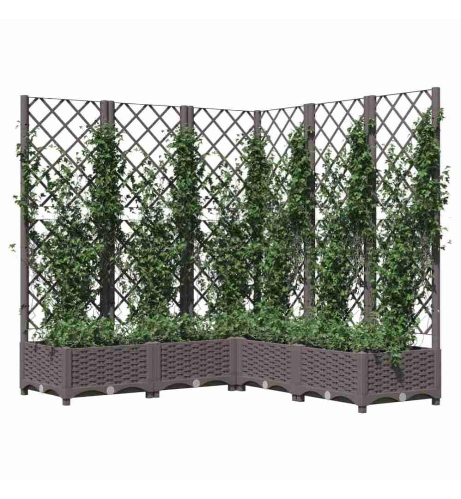 Jardinière avec treillis Marron 120x120x121,5 cm PP