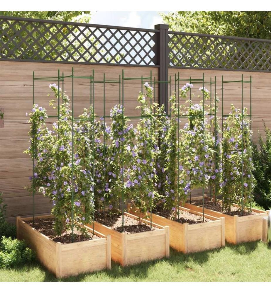 Cages à tomates 8 pcs 154 cm acier et PP