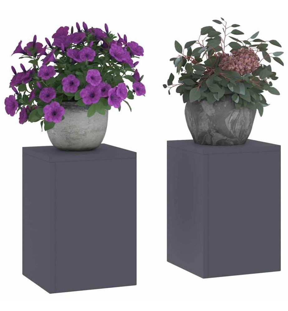 Support de Plante 2 pcs Anthracite 24 x 24 x 35 cm Acier