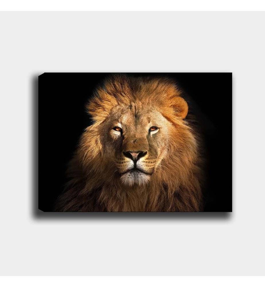 Peinture décorative sur toile, multicolore, toile, cadre en bois