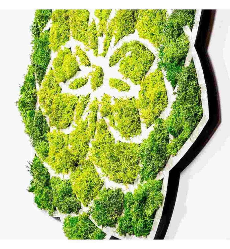 Accessoire mural décoratif, vert, blanc, 100% MDF - Moss
