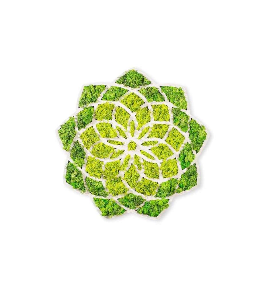 Accessoire mural décoratif, vert, blanc, 100% MDF - Moss