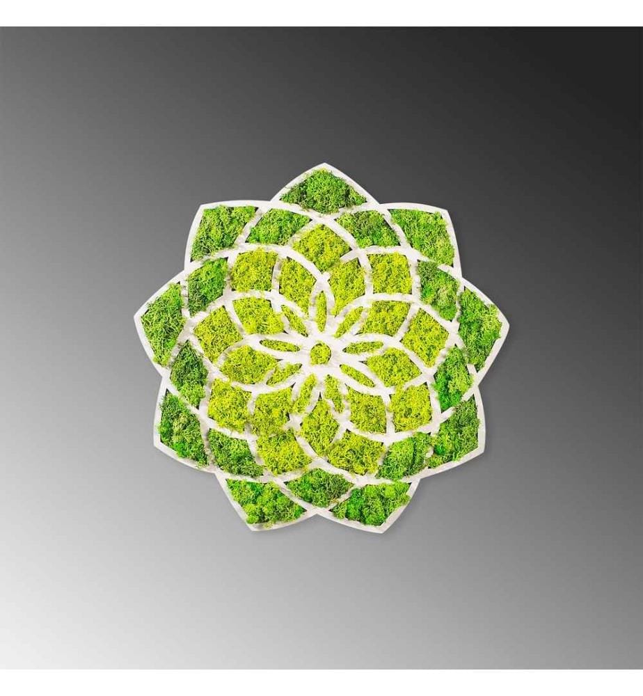 Accessoire mural décoratif, vert, blanc, 100% MDF - Moss