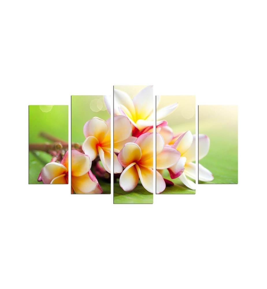 Decorative MDF Painting, 5 Pieces, Multicolor, 100% MDF