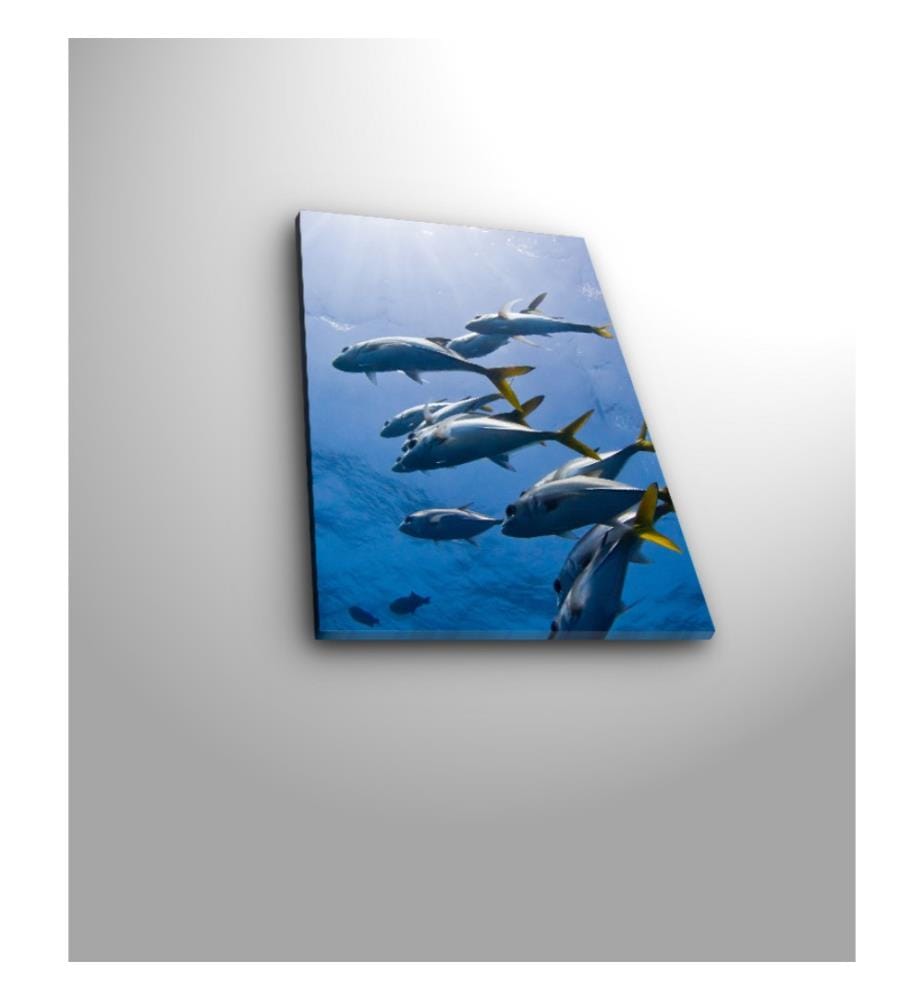 Quadro decorativo su tela, multicolore, 100% tela scamosciata, telaio in legno