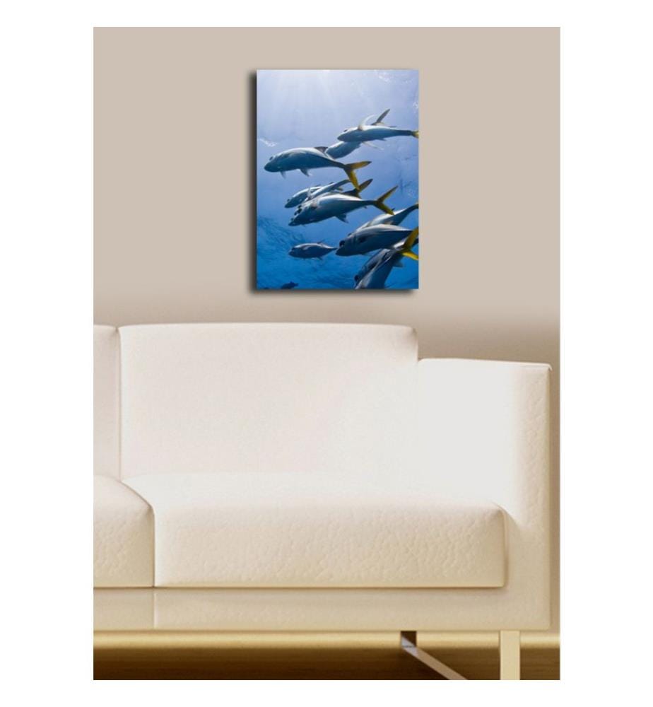 Quadro decorativo su tela, multicolore, 100% tela scamosciata, telaio in legno