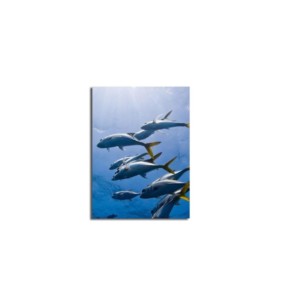 Quadro decorativo su tela, multicolore, 100% tela scamosciata, telaio in legno