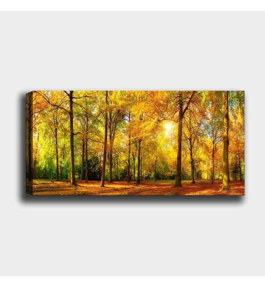 Decorative Canvas Painting, Multicolor, 100% Canvas , Wooden Frame