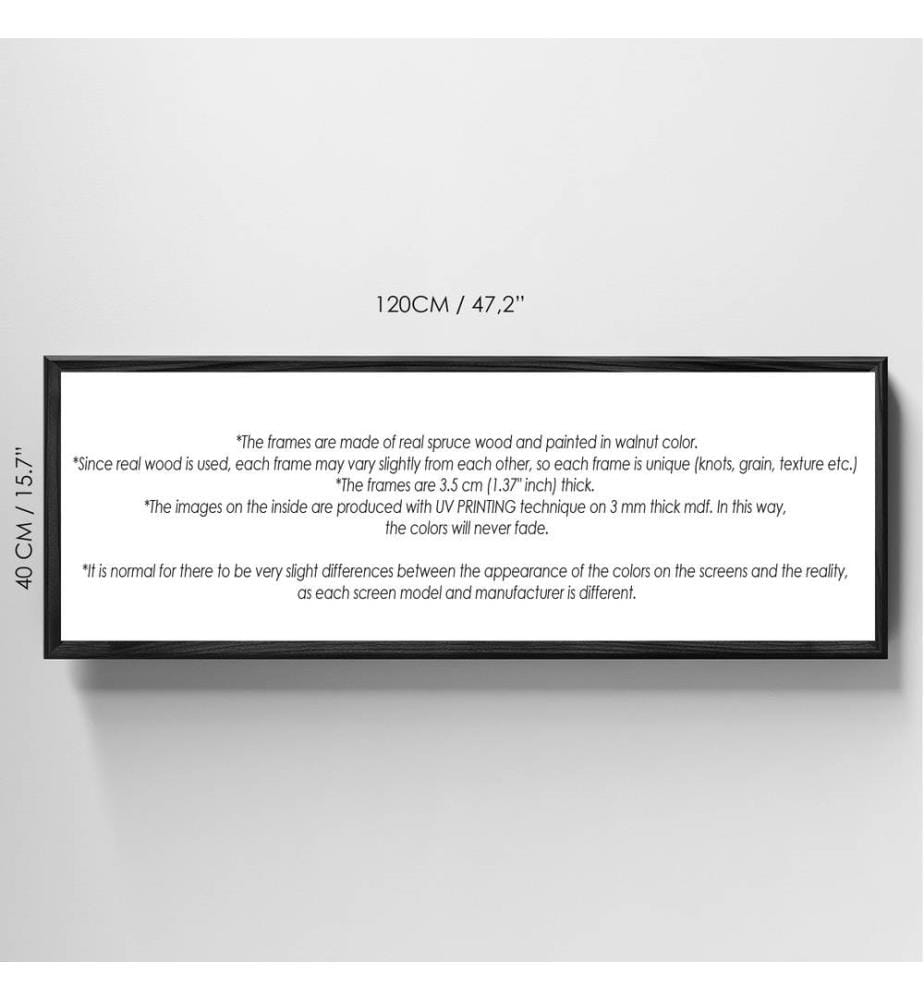 Decorative Framed MDF Painting, Multicolor, 100% MDF, Spruce Wood Frame