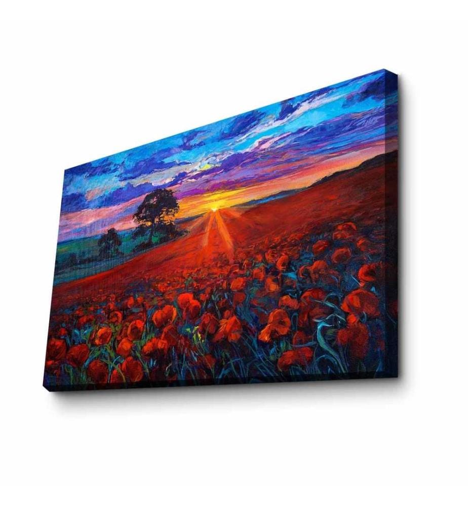 Peinture décorative sur toile, multicolore, toile, cadre en bois de pin