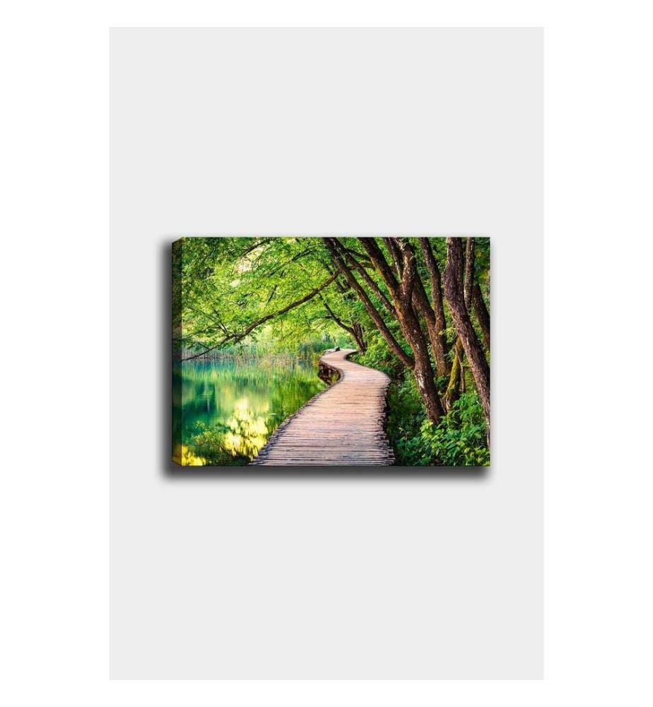 Decorative Canvas Painting, Multicolor, Canvas, Wooden Frame