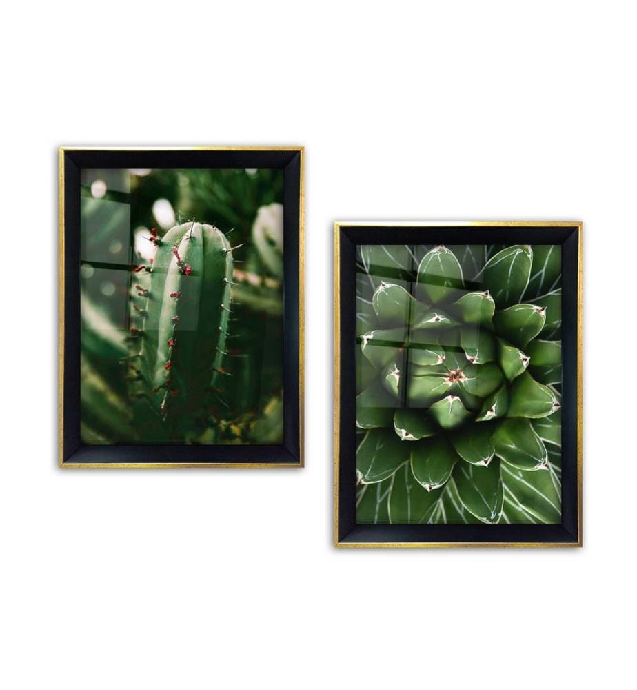 Decorative Framed Painting, 2 Pieces, Multicolor, Glass, Wooden Frame