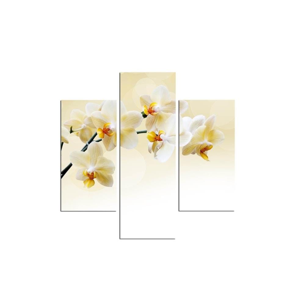 Decorative MDF Painting, 3 Pieces, Multicolor, 100% MDF
