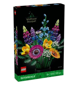 LEGO 10313 - Wildblumenstrauss