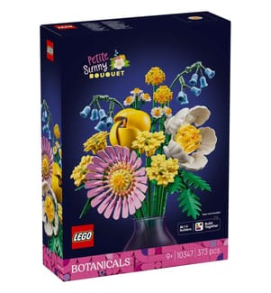 LEGO 10347 - Kleiner Sommerstrauss