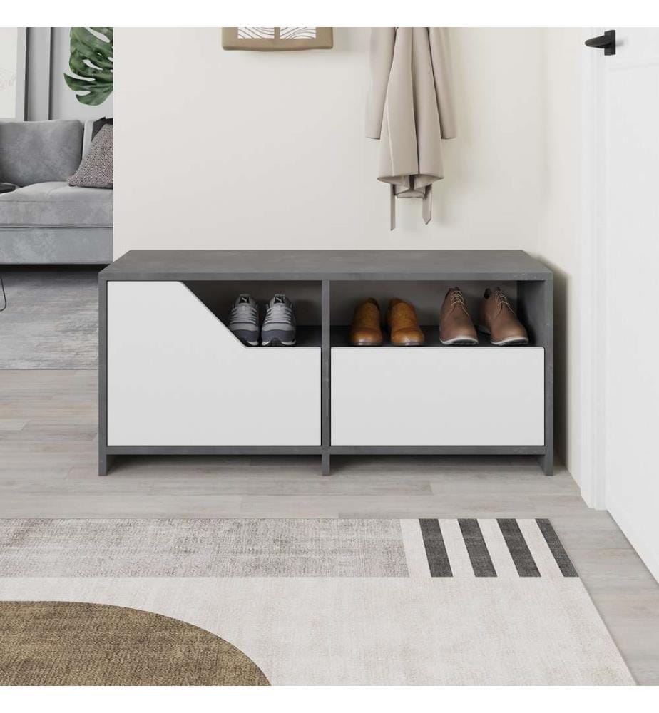 Meuble à chaussures, gris, blanc, panneau de particules mélaminé