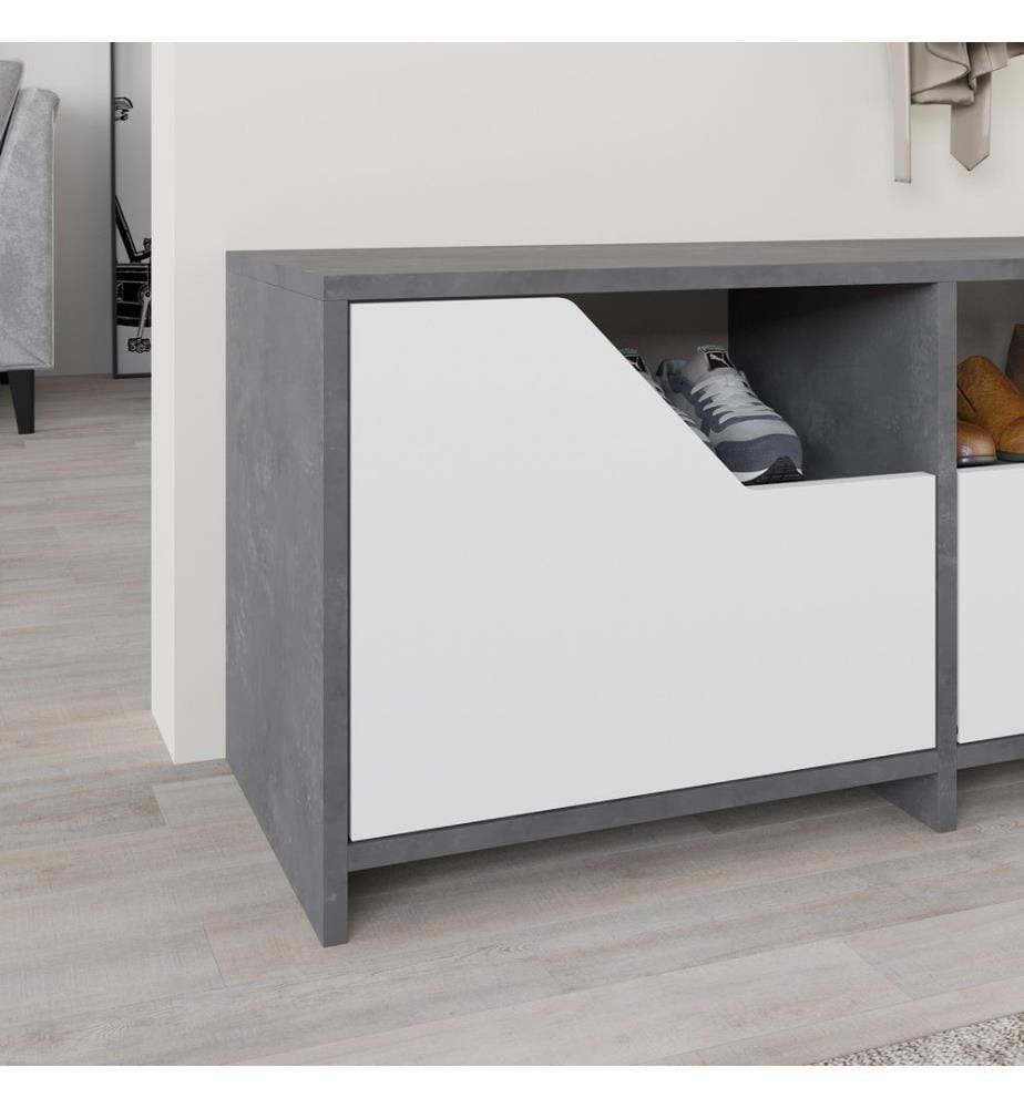 Meuble à chaussures, gris, blanc, panneau de particules mélaminé