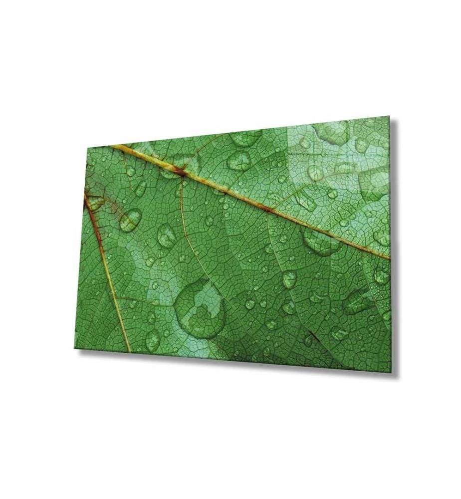 Pittura decorativa in vetro temperato, Multicolore, 100% vetro temperato