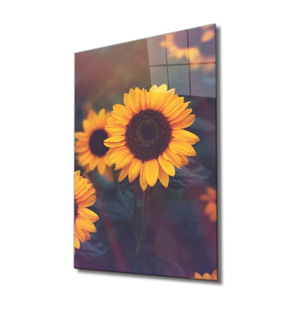 Pittura decorativa in vetro temperato, Multicolore, 100% vetro temperato