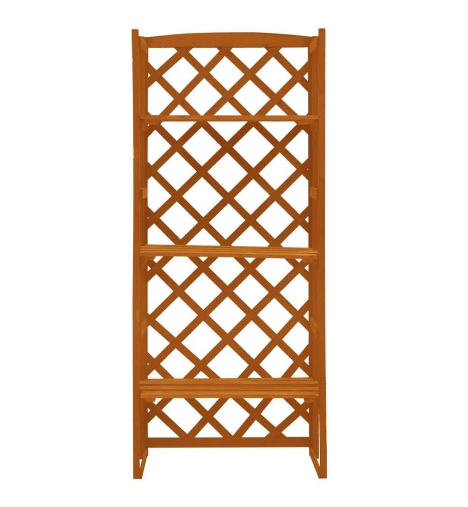 Support de plantes et treillis Orange 60x30x140cm Bois de sapin