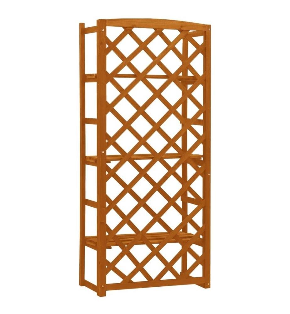 Support de plantes et treillis Orange 60x30x140cm Bois de sapin