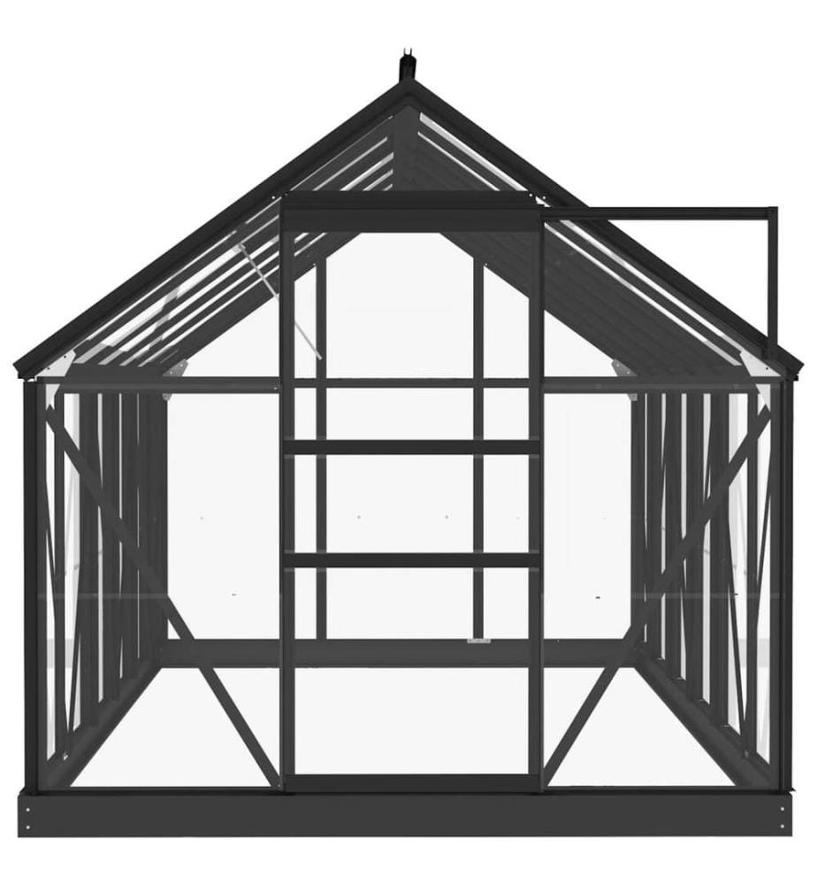 Glas Gewächshaus Anthrazit 155x298x191 cm Aluminium