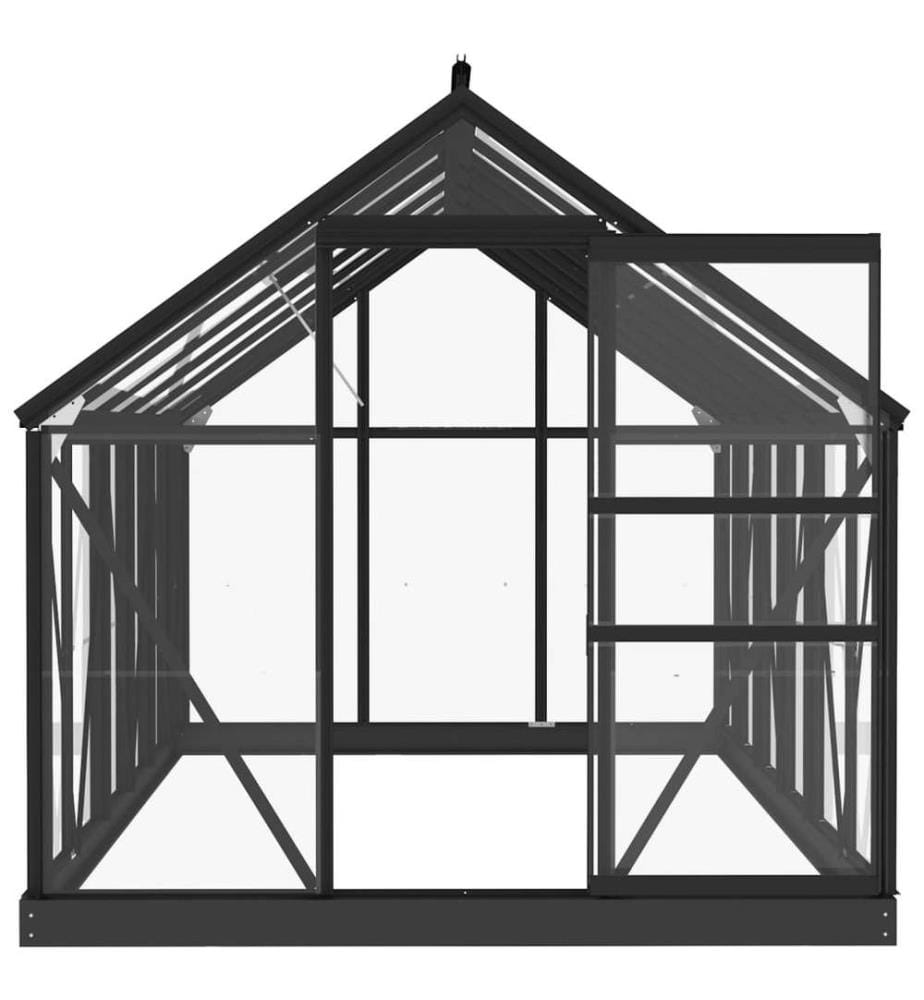 Glas Gewächshaus Anthrazit 155x298x191 cm Aluminium