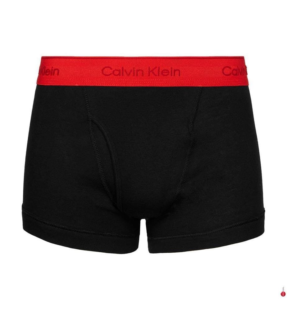 Pack de 5 Boxers Cotton Classics Trunks - 5 Coloris