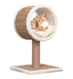 Katzen-Kratzbaum mit Tunnel und Spielzeug 56 cm Seegras