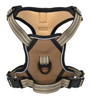 Hundegeschirr mit Leine & Halsband Verstellbar Braun XL