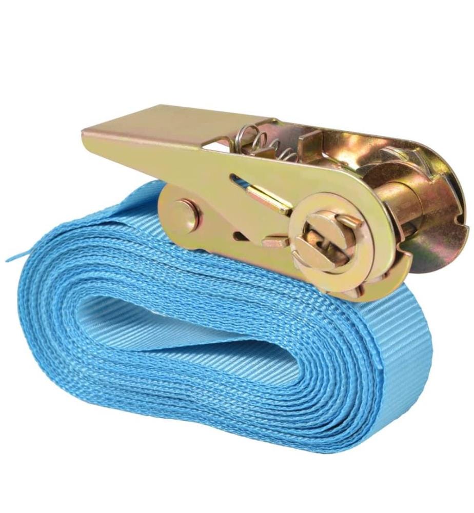 Ratschen-Spanngurte 10 Stk. 0,8 Tonnen 4m×25mm Blau