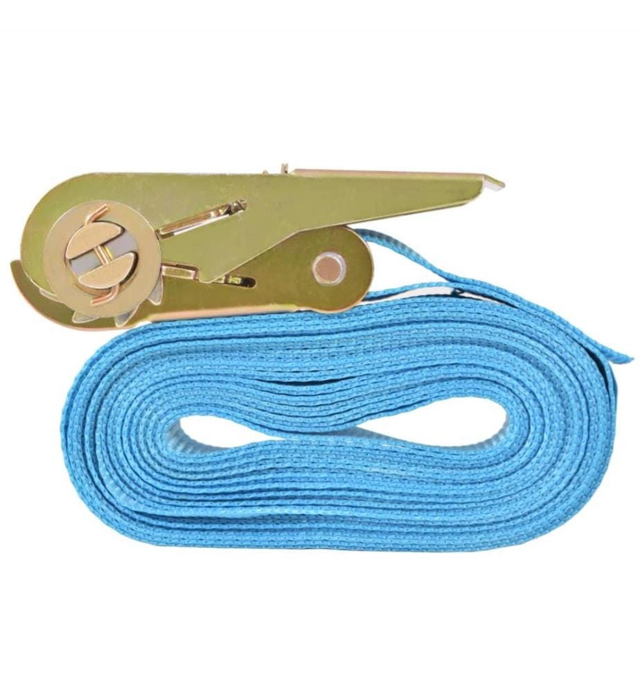 Ratschen-Spanngurte 10 Stk. 0,8 Tonnen 4m×25mm Blau