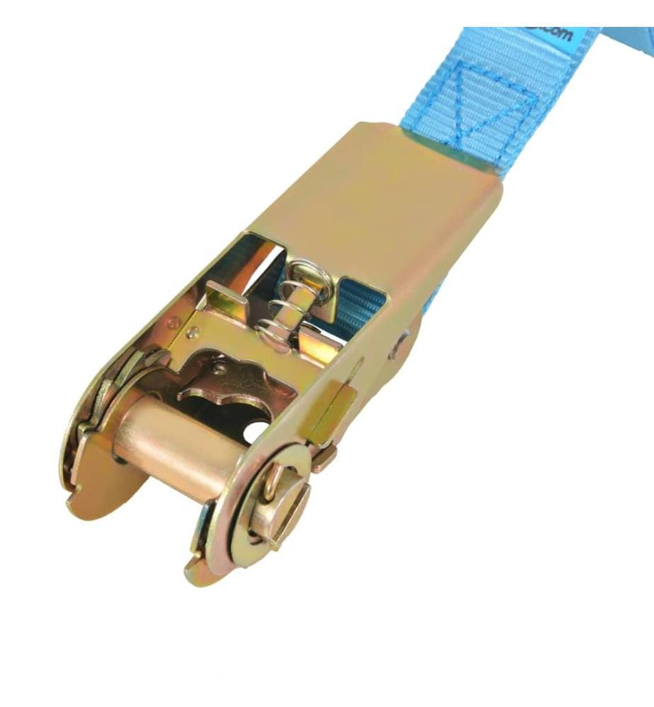 Ratschen-Spanngurte 10 Stk. 0,8 Tonnen 4m×25mm Blau