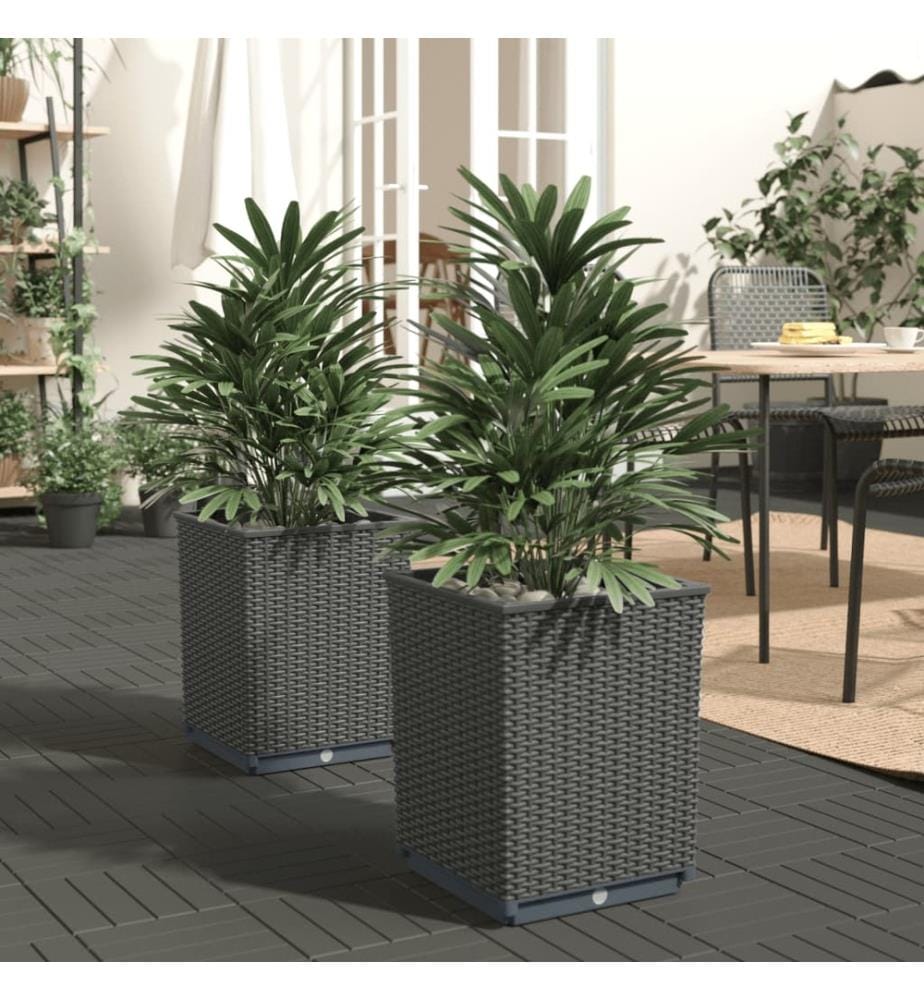Jardinières 2 pcs noir 30x30x37 cm polypropylène