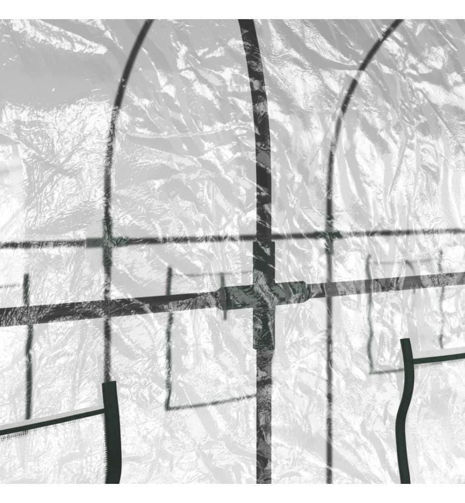 Gewächshaus Transparent 160x400x190 cm PVC & Stahl