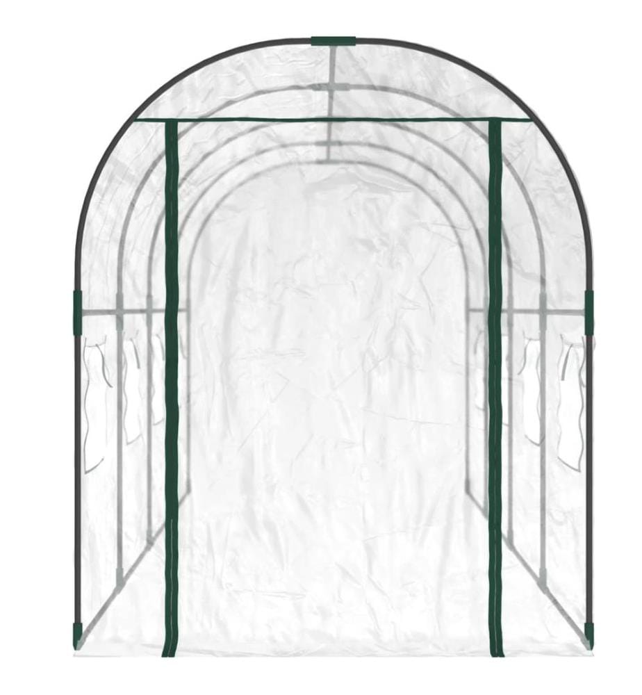 Gewächshaus Transparent 160x400x190 cm PVC & Stahl