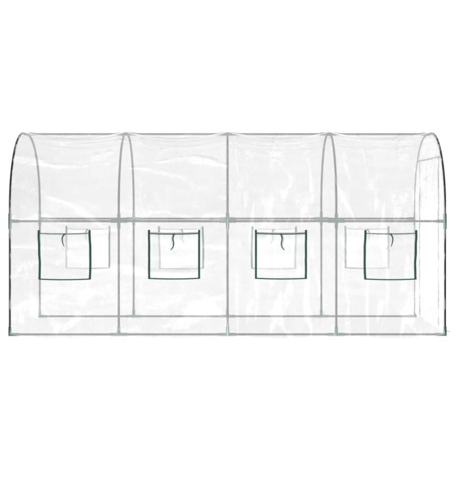 Gewächshaus Transparent 160x400x190 cm PVC & Stahl