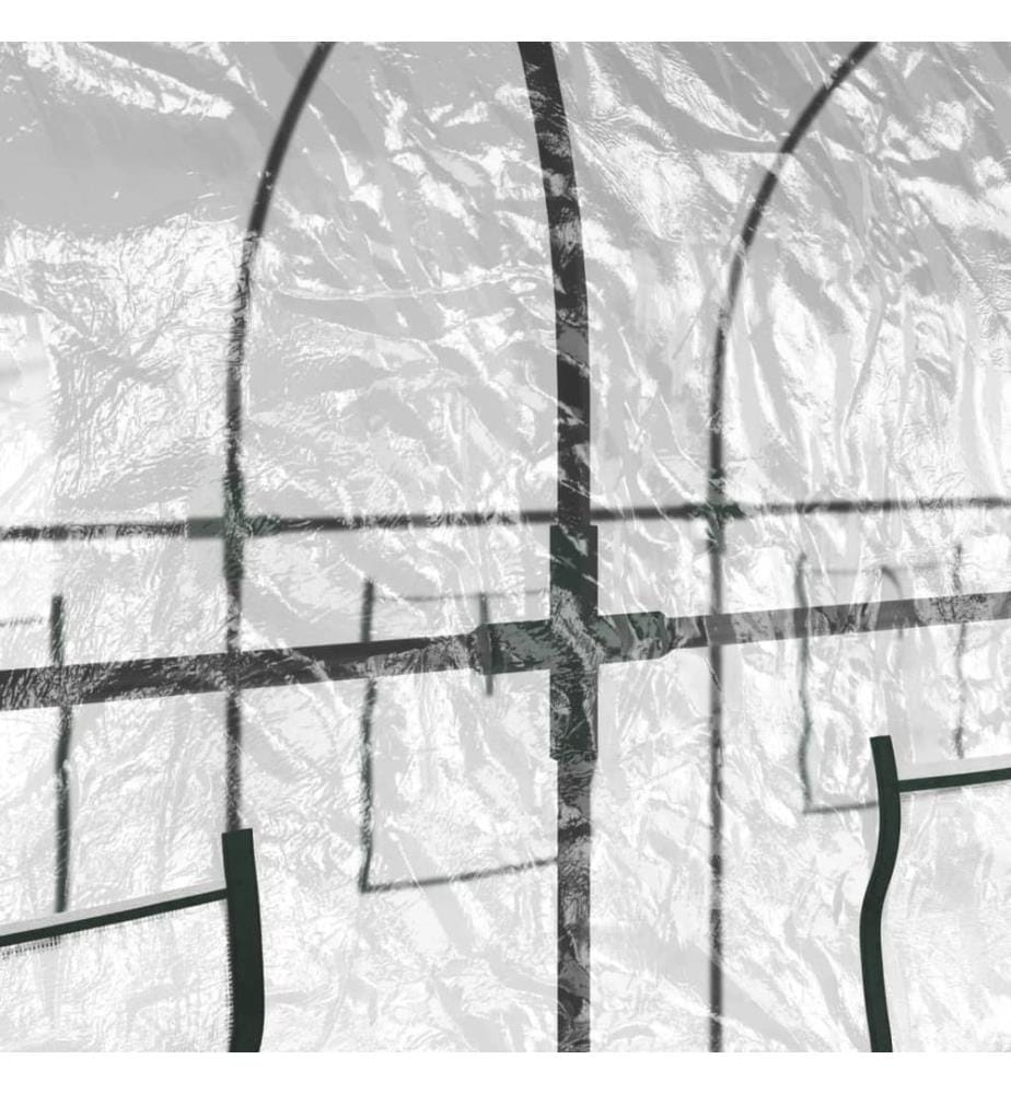 Gewächshaus Transparent 160x400x190 cm PVC & Stahl