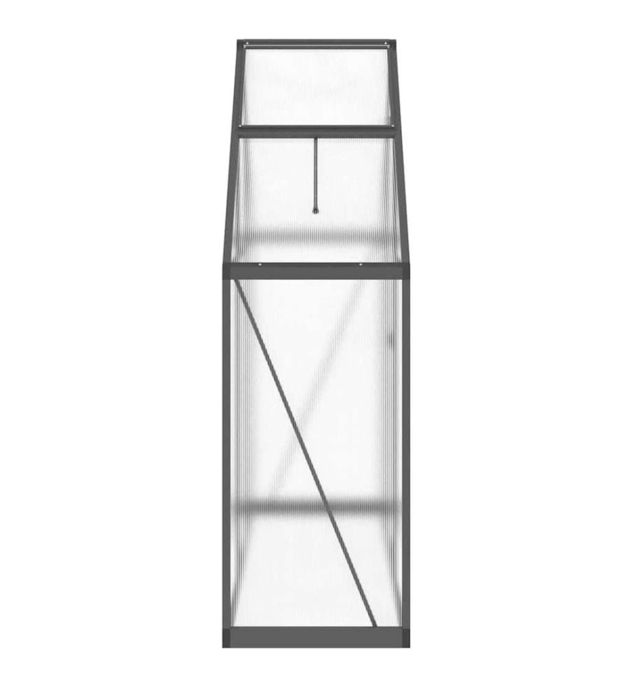 Gewächshaus mit Fundamentrahmen Anthrazit 169x58x195 cm Alu